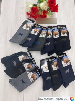 Носки мужские махровые термо р. 41-47 (10 пар) арт. 1535550