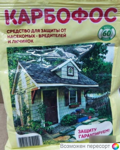 �������� 60� ���. 1281639