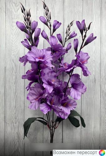 ����� ������������� ������ (68 ��.) ���. 1267845