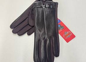     (free size) . 1540731,  - 