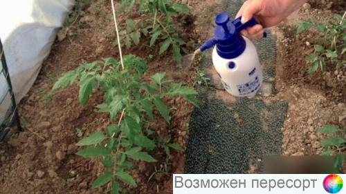 ������� 10� ���. 1281530