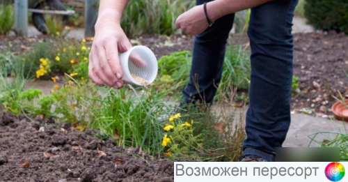 ������� 1�� ���. 1281634