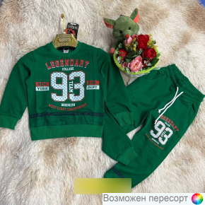 Костюм детский: свитшот и штаны арт. 1557483