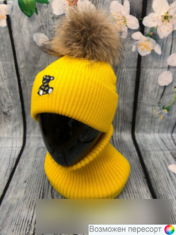  :    (2-6 ) . 1525095