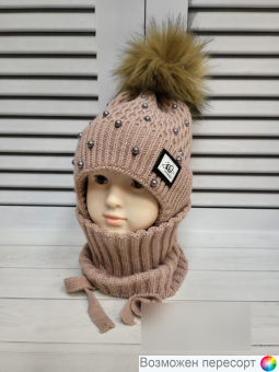  :    (2-5 ) . 1541471