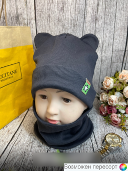   :    (1-2,5 ) . 1505569