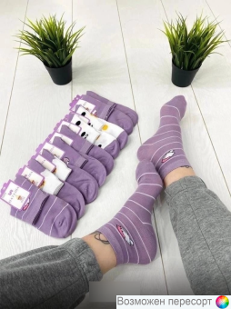   . 36-41 (10 ) . 1486698